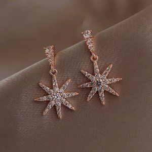Women's fashion earrings